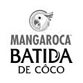 Batida De Coco likeur Kopen? Bij Whisky.nl vind je de beste likeur