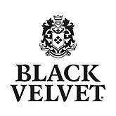 Black Velvet
