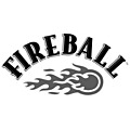 Fireball likeur Kopen? Bij Whisky.nl vind je de beste likeur