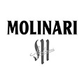 Molinari likeur Kopen? Bij Whisky.nl vind je de beste likeur