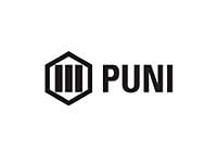 Puni