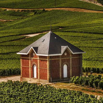 Mo&euml;t Chandon Champagne Wijngaard