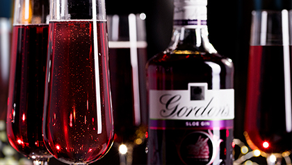 Sloe Gin
